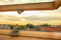 rated Osidge roof window companies
